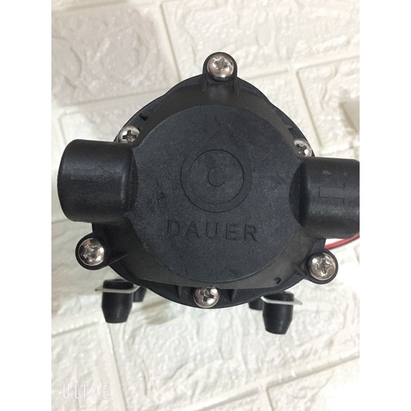 Bơm 24v dauer máy lọc nước