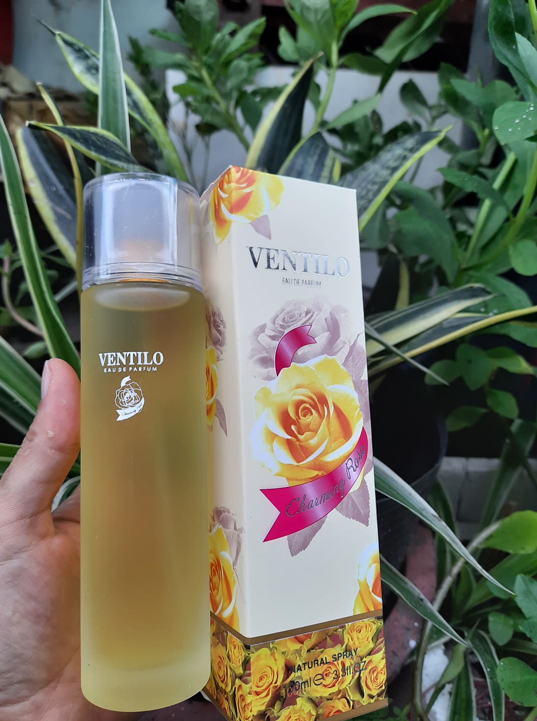 [HCM][NHẬN QUÀ - 1 THỎI SON NHA ĐAM] Nước hoa Ventilo Charming Rose Hương Hoa Hồng 100ML