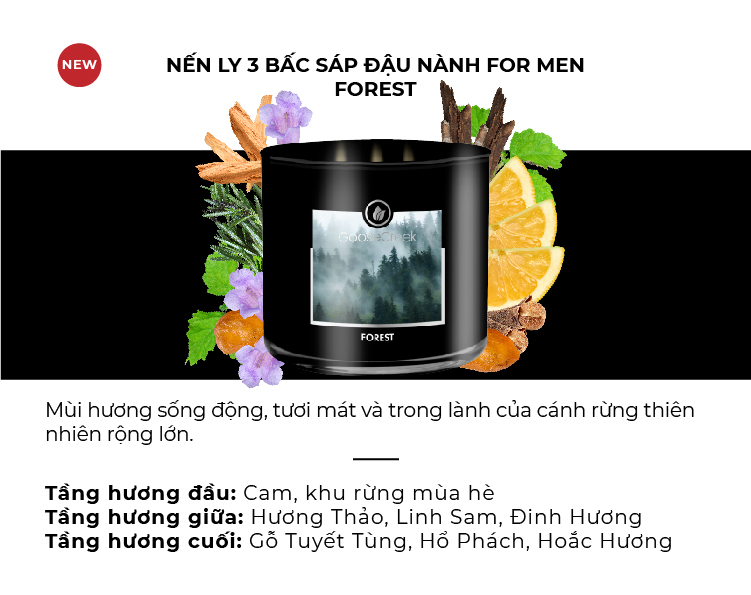 Nến 3 bấc sáp đậu nành goose creek for men 411g từ yankee candle