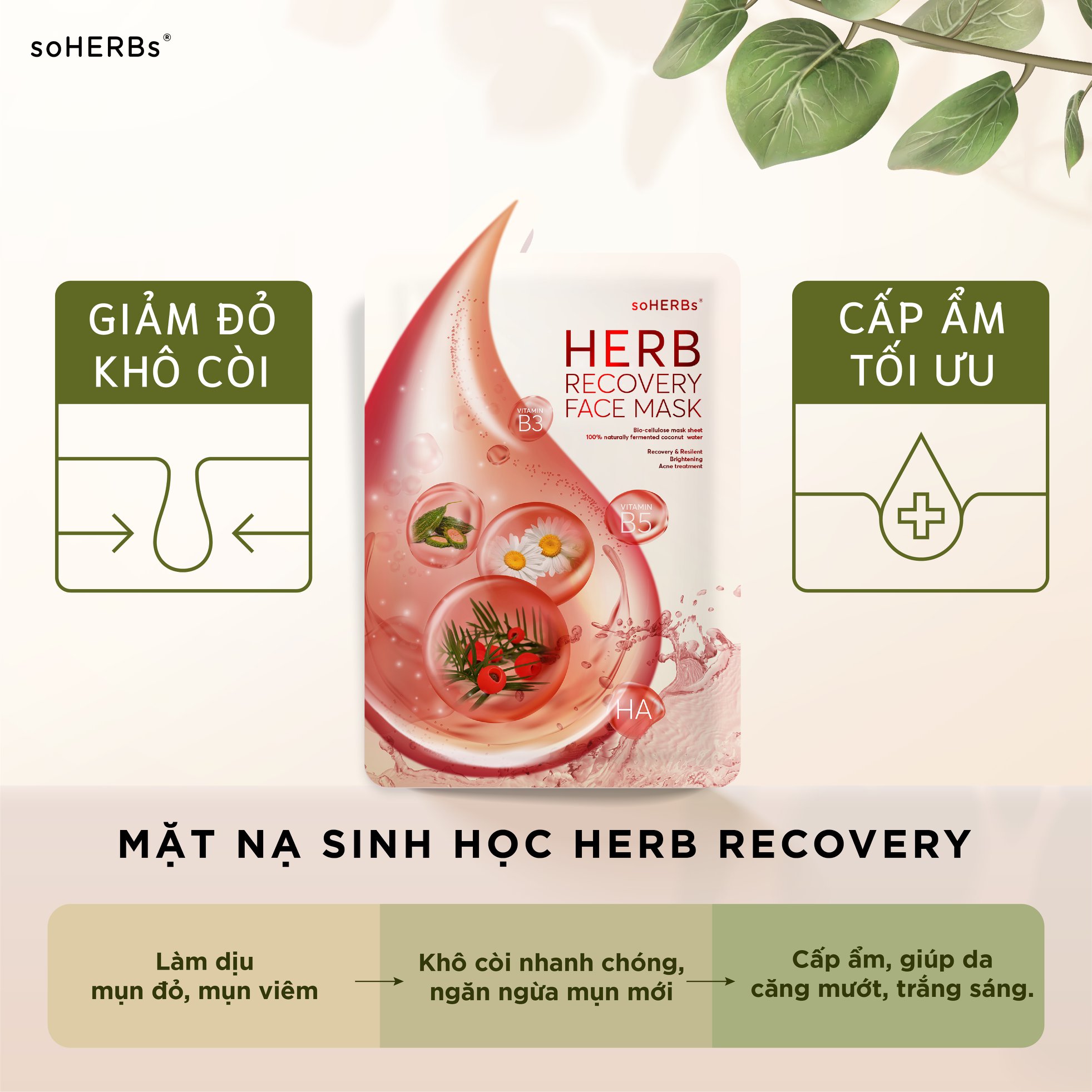 [HCM]MẶT NẠ CẤP ẨM NGỪA MỤN HERB