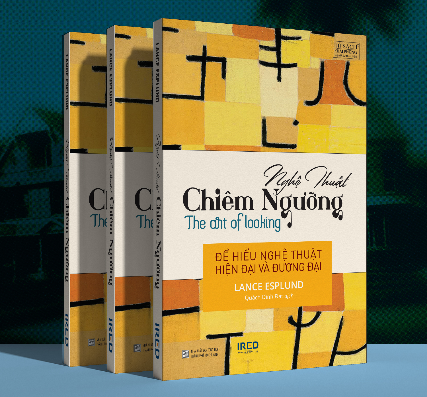 Sách - Nghệ Thuật Chiêm Ngưỡng (The Art of Looking) - Lance Esplund - IRED Books