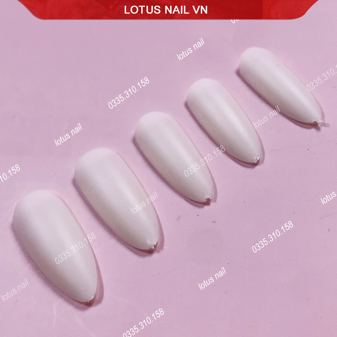 Móng úp nhọn ngắn lẻ size Hàn Quốc từ 5-9, gói 50 móng