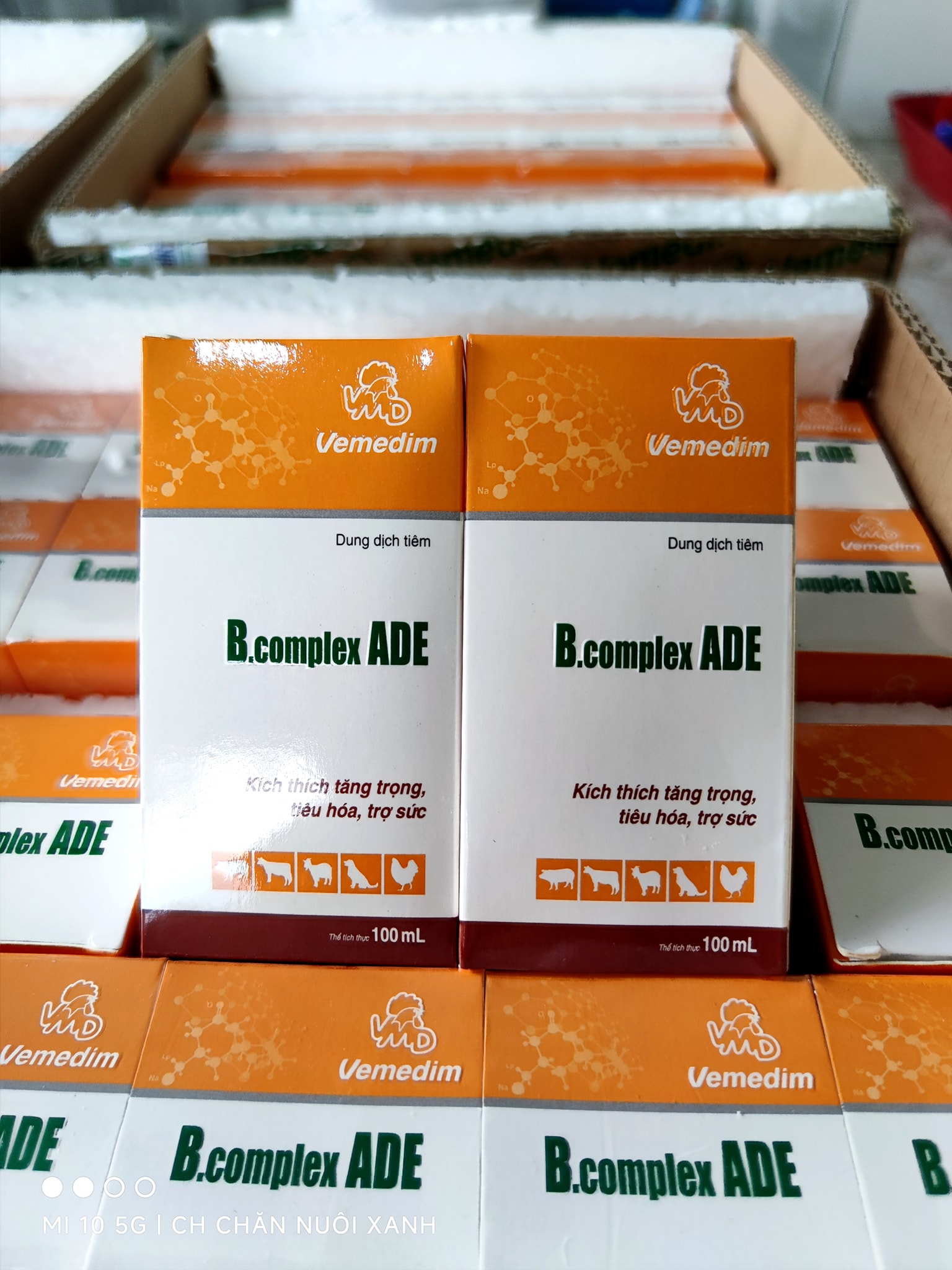 Vemedim B Complex Vitamin ADE 100ml Bổ sung vitamin và dinh dưỡng
