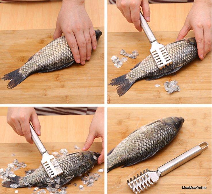Dụng Cụ Đánh Vảy Cá Inox Cao Cấp