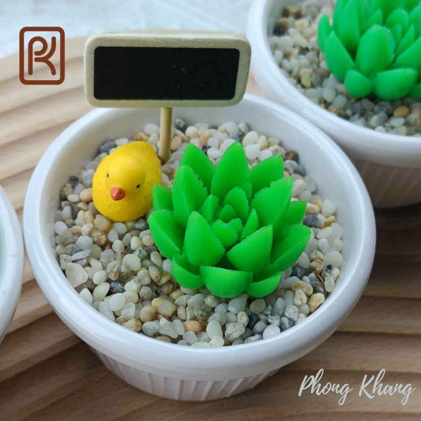 Khuôn silicon 4d Phong Khang làm rau câu sen đá