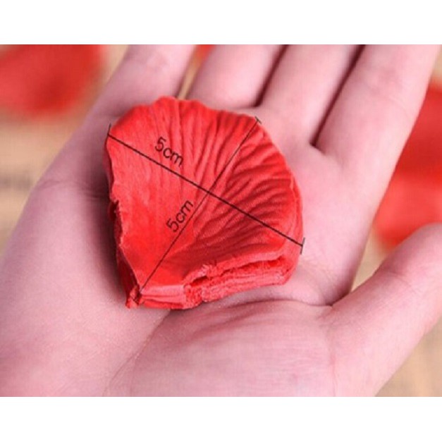 Set 100 Cánh hoa hồng bằng vải lụa dùng trang trí
