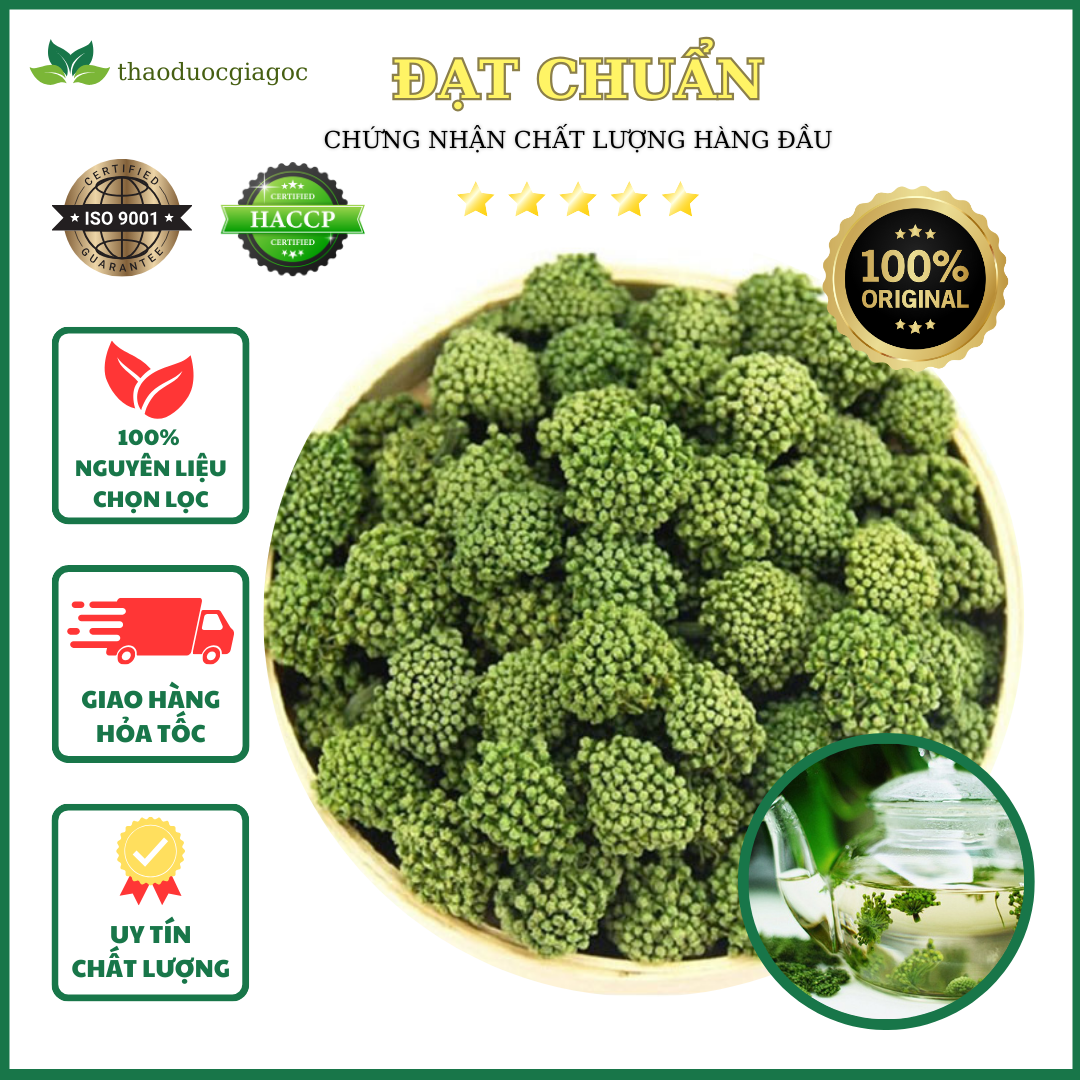 250gr nụ hoa tam thất nụ tam thất bao tử