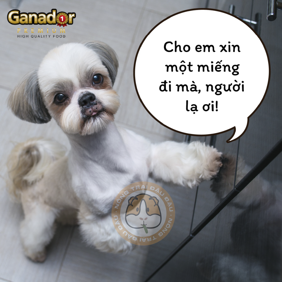 Thức Ăn Hạt Ganador Cho Chó 400g