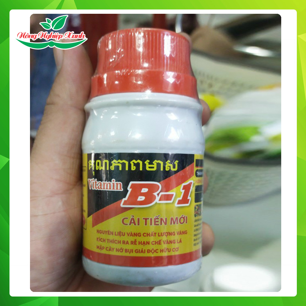 Thailand vitamin B1-growth stimulant and anti-yellowing effect for plants