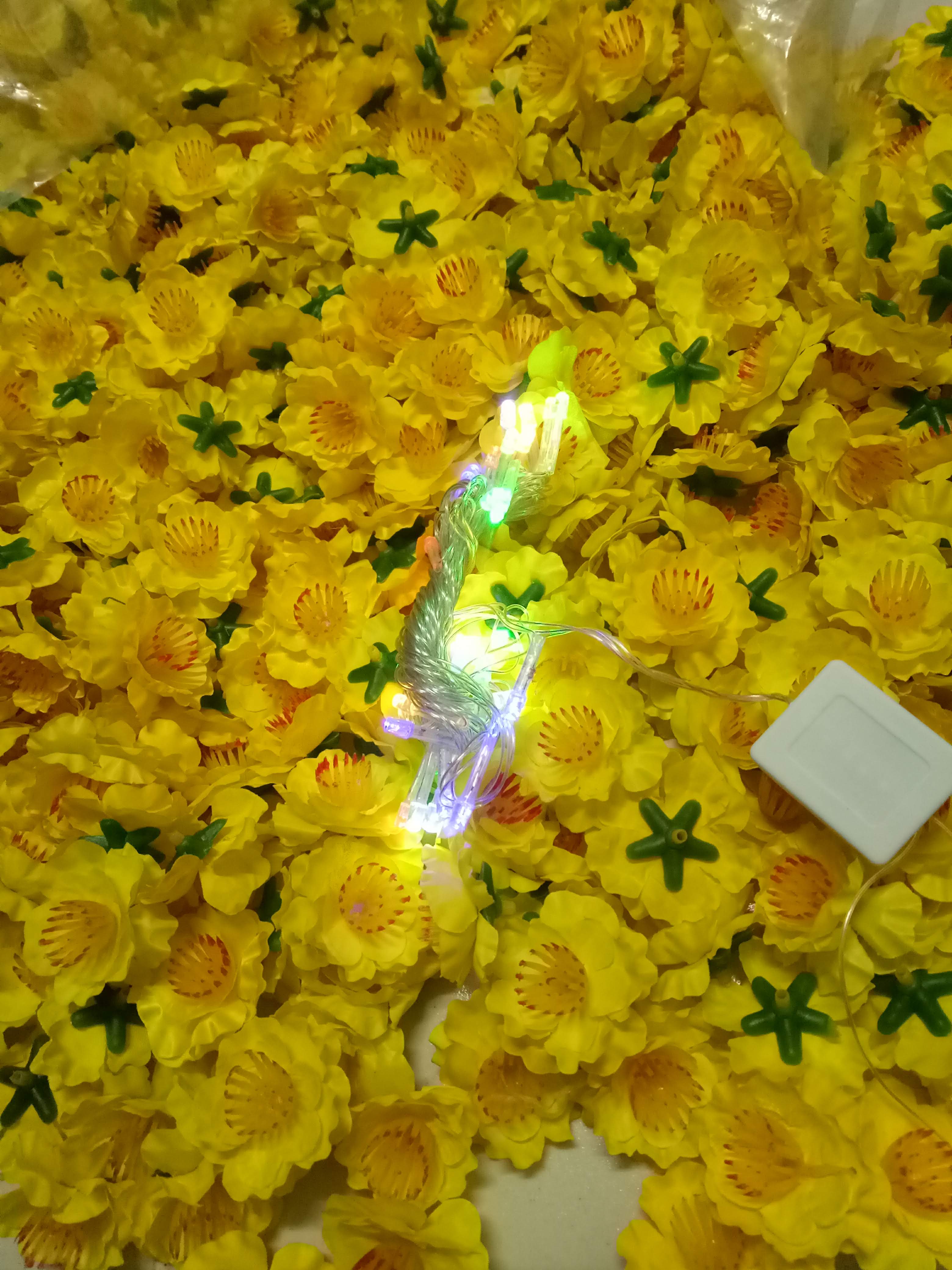 100 gam hoa mai rời (không kẽm buộc)