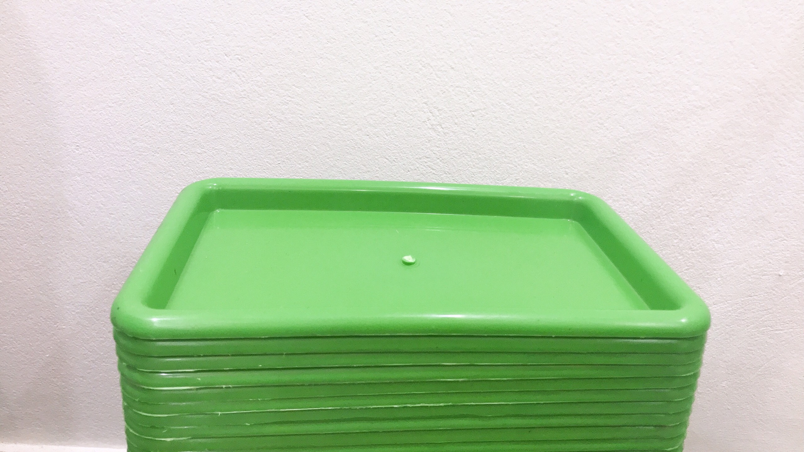 Tray plastic fruit-plastic tray rectangular đựng multifunction fruit