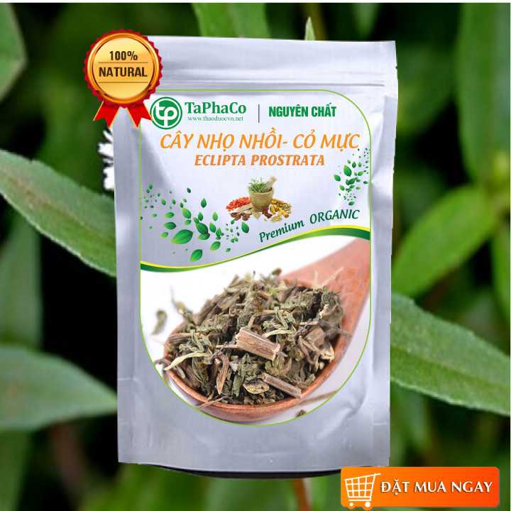 Cây nhọ nồi ( cỏ mực ) khô 1kg - Tấn Phát