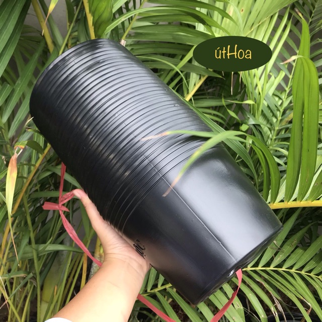 Combo 100 Chậu Nhựa Đen C10 (25x20cm) trồng cây