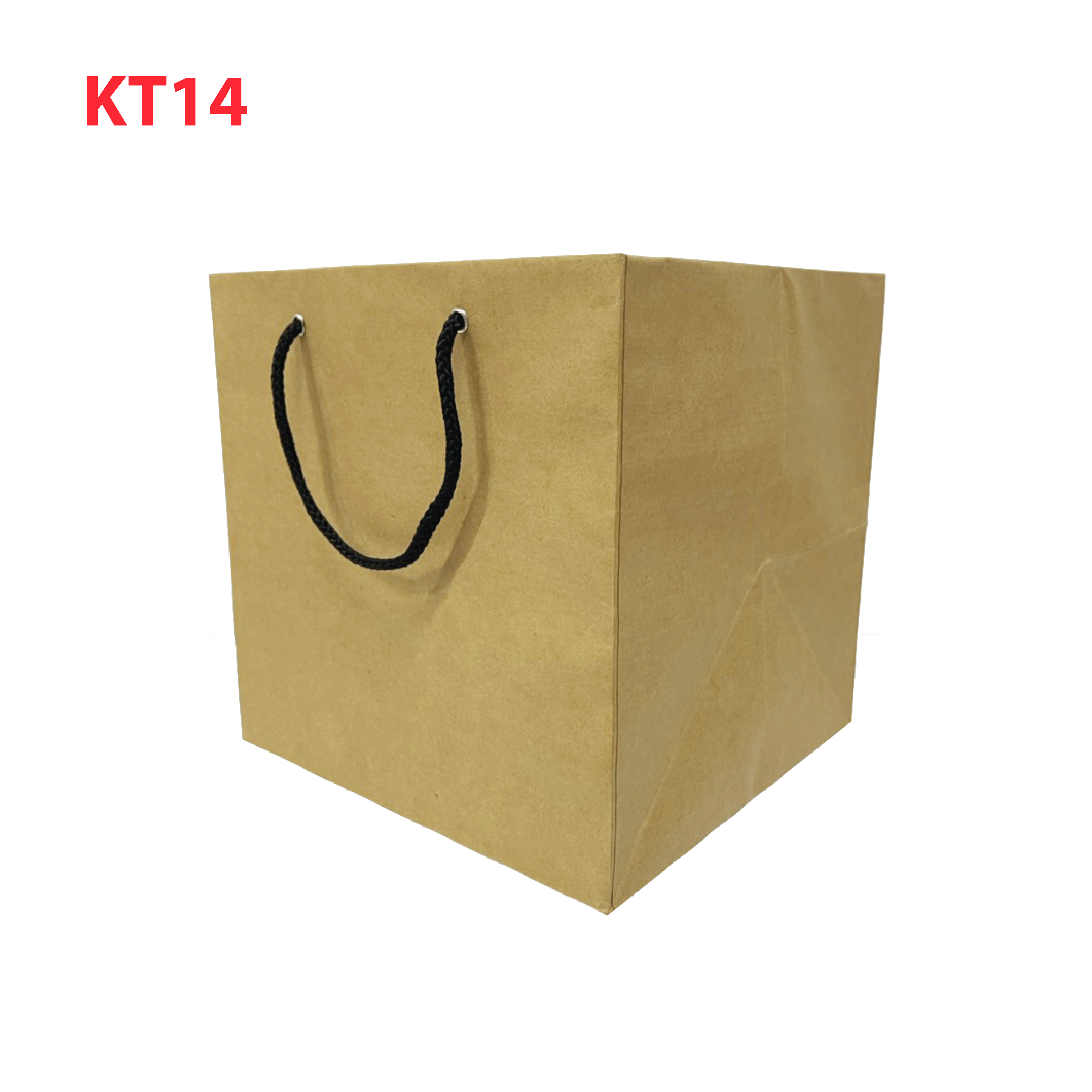 Combo of 100 Brown Kraft Paper Bags KT14 (27 X 23 X 22 cm