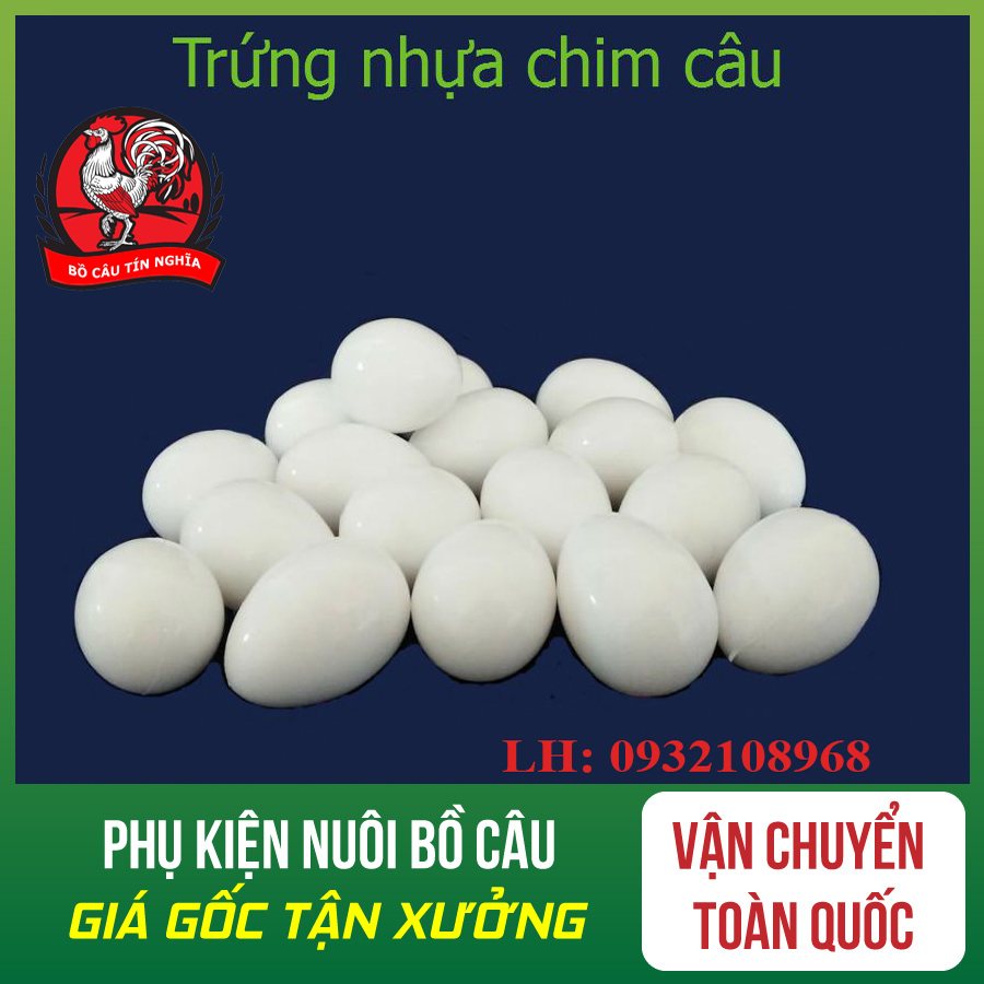 Combo 10 trứng nước cho chim bồ câu - trứng nước cho chim bồ câu - trứng nước cho chim - trứng nước cho chim