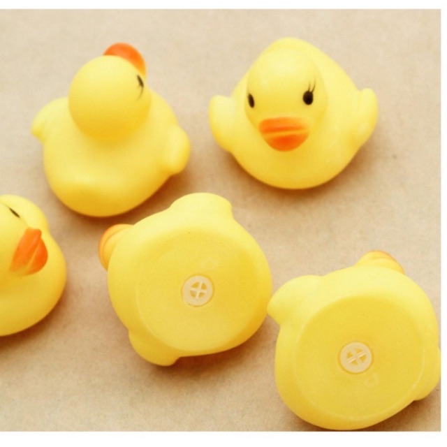 SET VỊT THẢ HỒ BƠI CHO BÉ