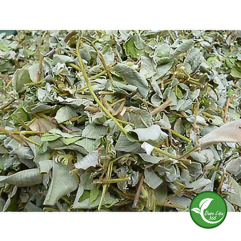 Kim tiền thảo (gói 1kg khô) - DL006
