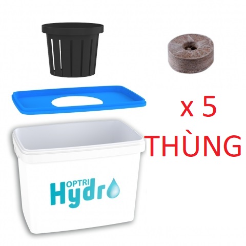 05 THÙNG TRỒNG THỦY CANH CÂY ĂN TRÁI (5 THÙNG, 5 NẮP, 5 RỌ LỚN, 5 VIÊN NÉN ƯƠM HẠT)