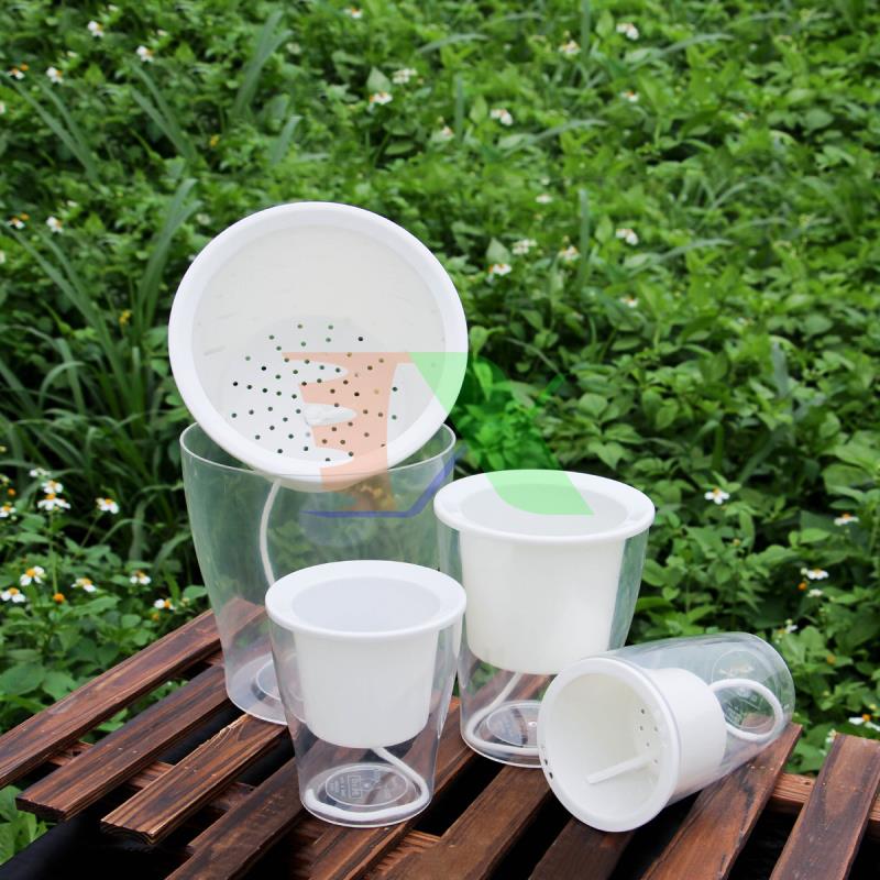 Chậu 2 lớp trồng Hoa Cây cảnh để bàn