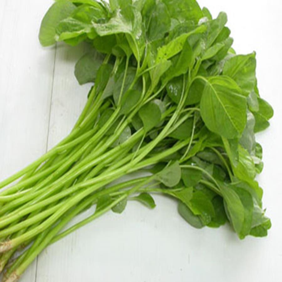 Gói 20g - Hạt Giống Rau Dền Xanh Lá Tròn Phú Nông - Tỉ lệ nảy mầm cao; Sinh trưởng mạnh; Kháng bệnh tốt VTNN Nông Điền Trang