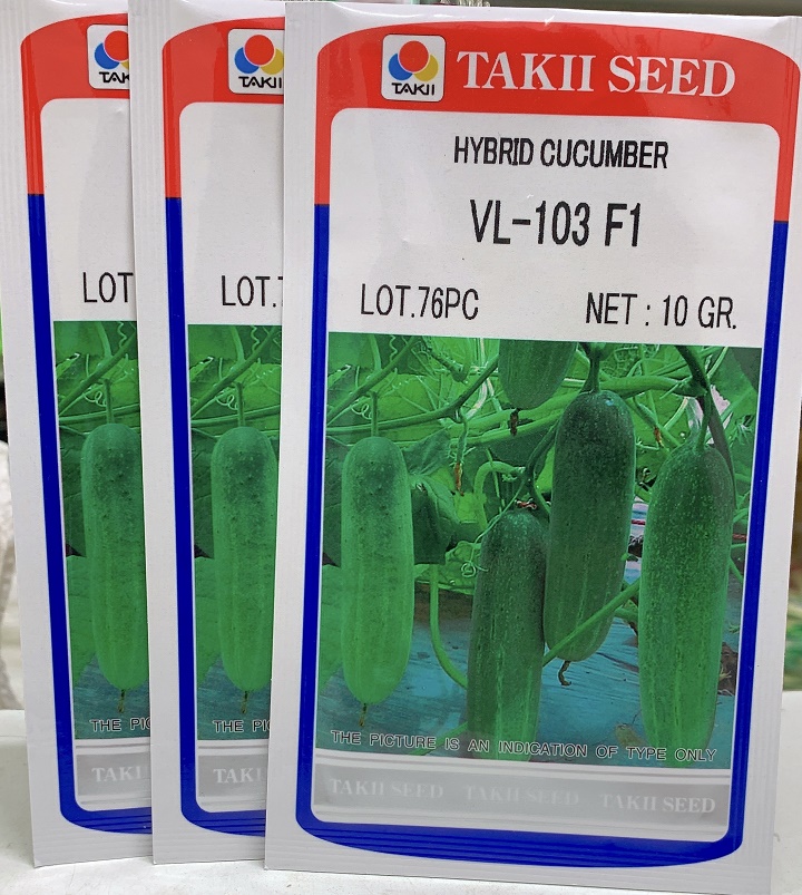 Hạt Giống Dưa Leo VL-103 (Dưa Chuột Chịu Nhiệt - Nhật Bản) - Gói 10Gr