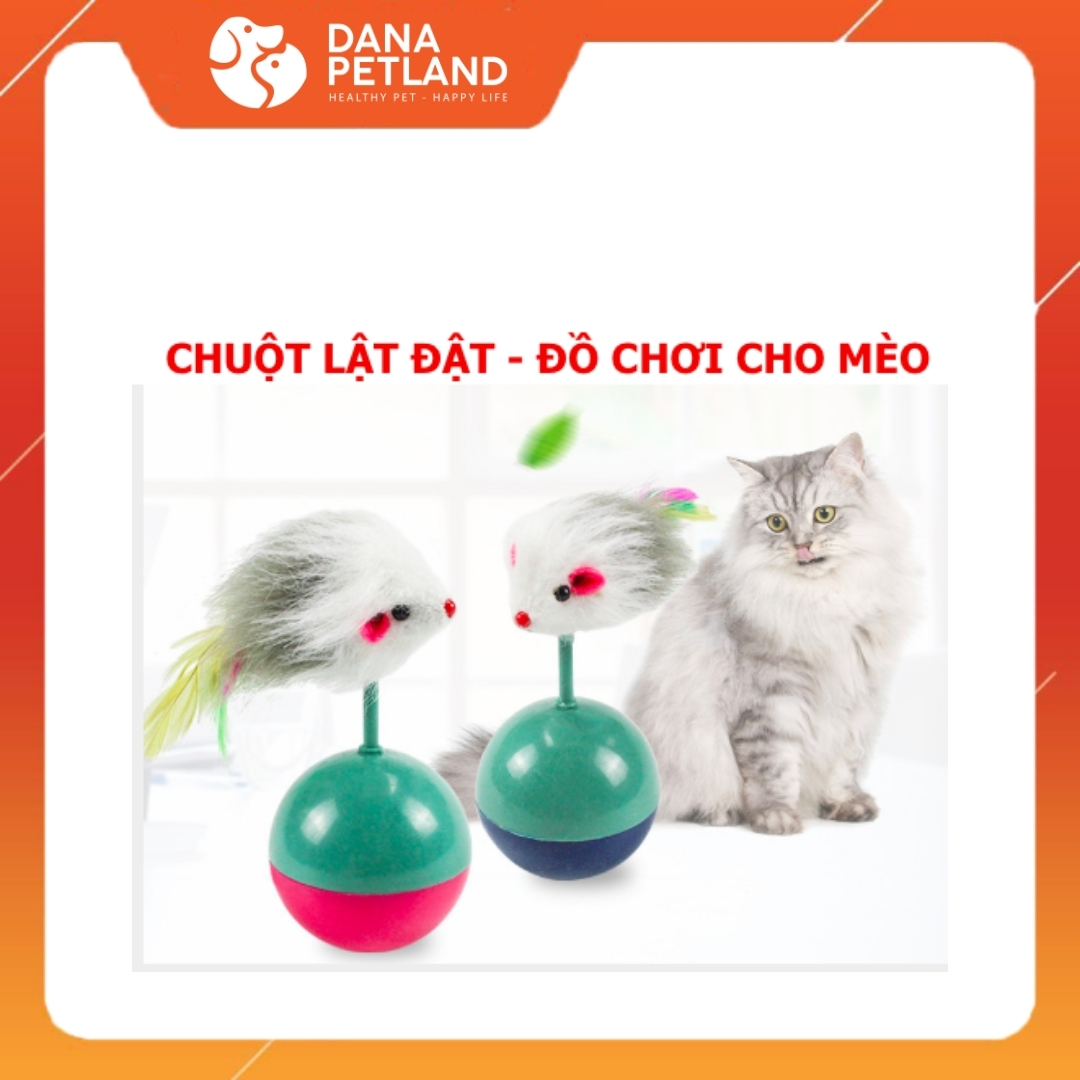 ĐỒ CHƠI BÓNG LẬT ĐẬT CHO MÈO