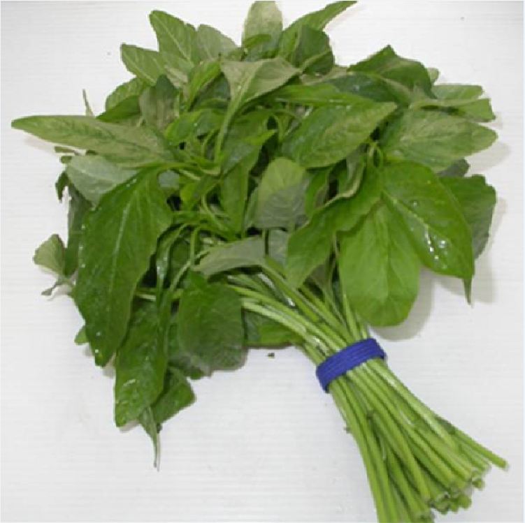 Hạt giống rau dền xanh -gói 20 gram(tặng kèm phân bón)