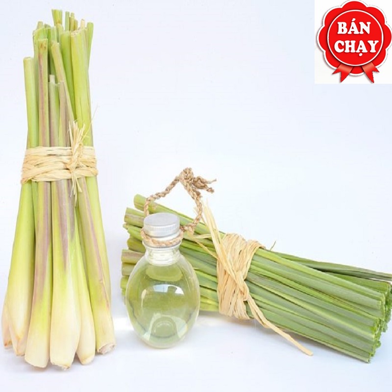 Tinh Dầu Sả JaVa 100% Thiên Nhiên Nguyên Chất 50ml