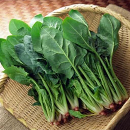 Hạt giống cải bó xôi (rau bina, rau chân vịt)