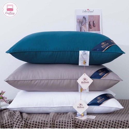 Set 2 chiếc ruột gối hơi cao cấp
