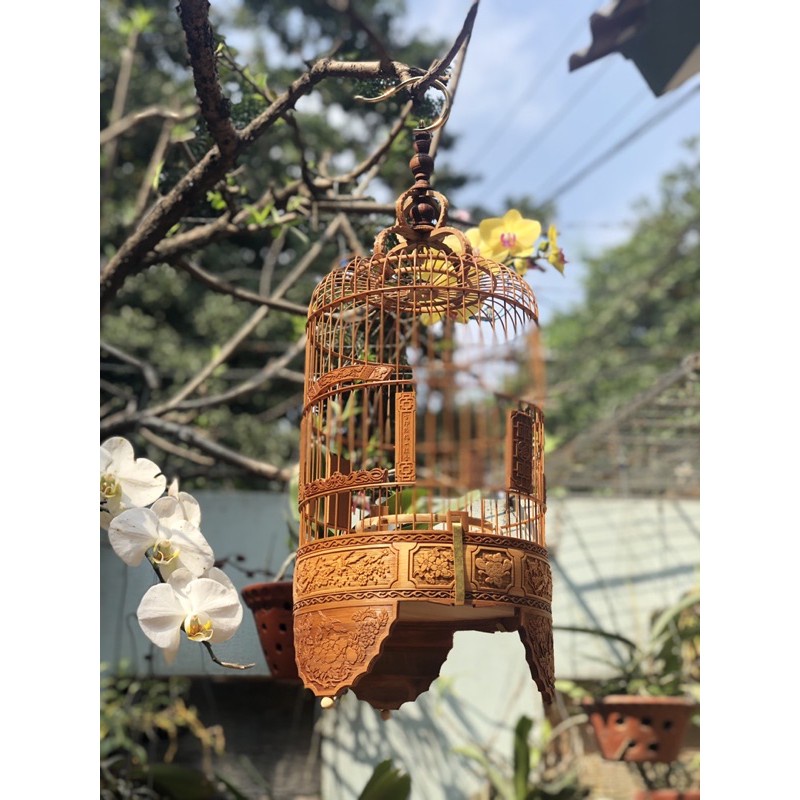 Lồng Chim Khuyên Lồng Chim Đục Bằng Tre Đẹp