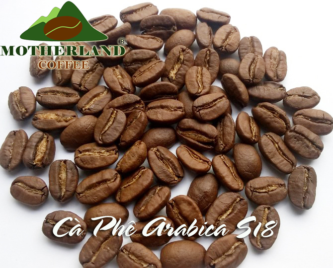 Cà phê Arabica Cầu Đất Đạt Lạt gói 250g