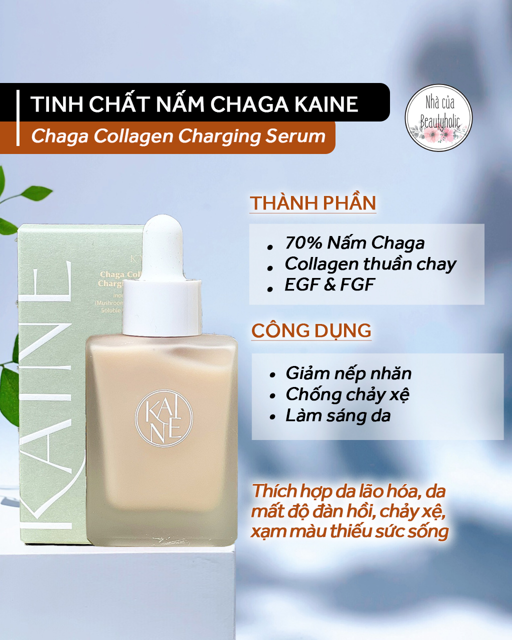 Serum nấm chaga thuần chay kaine chaga collagen charging serum
