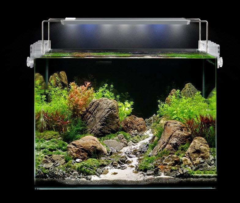 Đèn led AQUABLU cho bể thủy sinh 60cm - 80cm