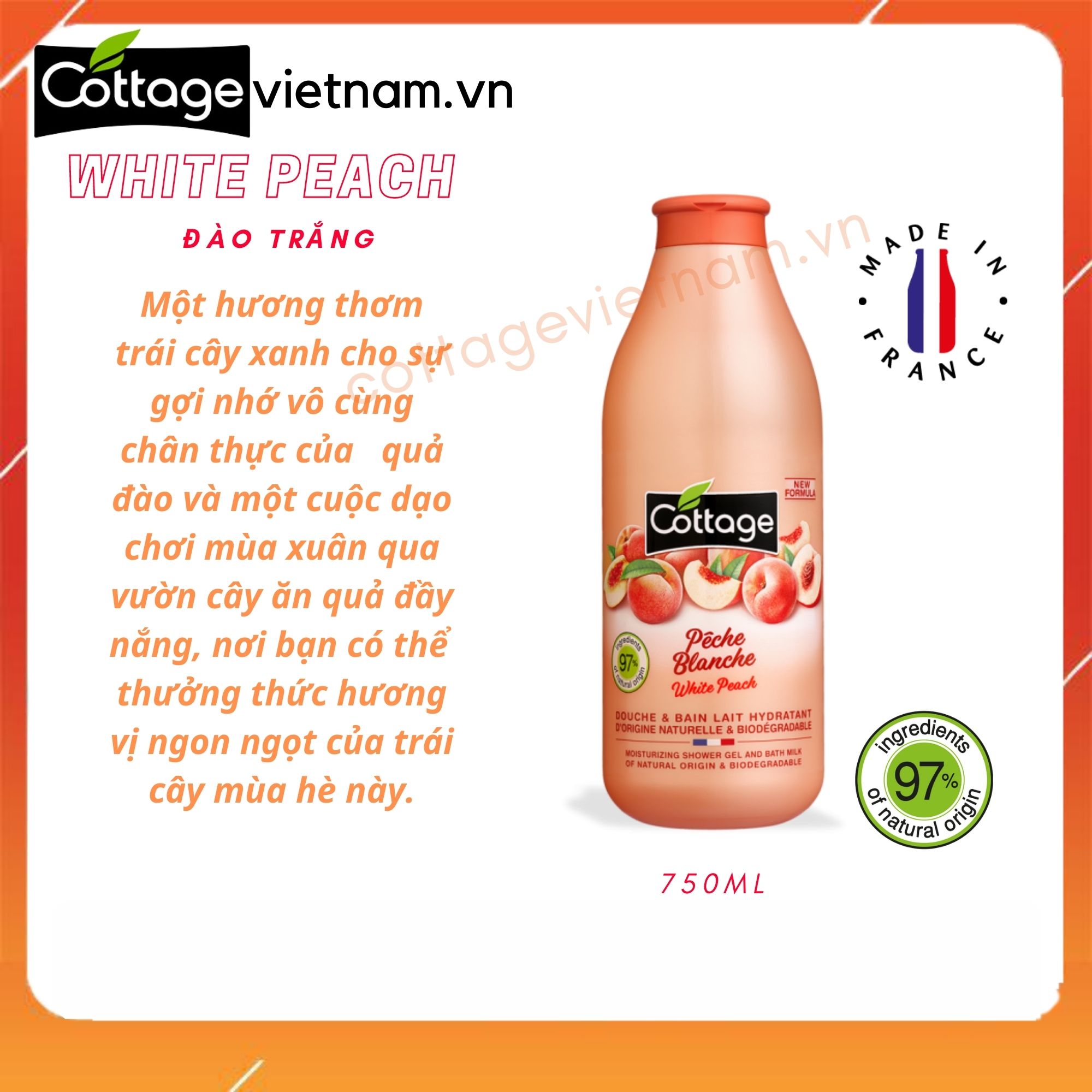 [Chai lớn 750ml-Đủ mùi]- Sữa tắm Cottage chính hãng của Pháp