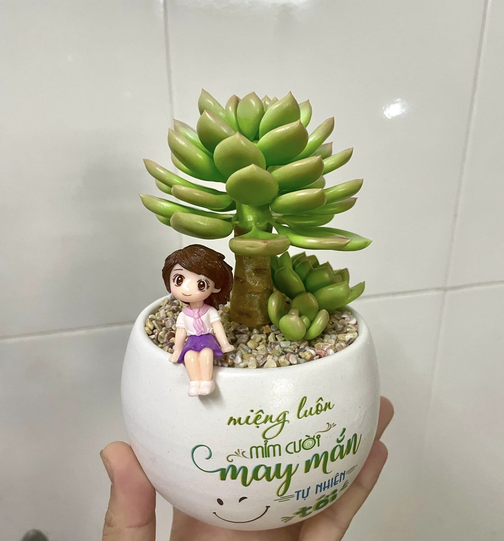 Chậu sen đá bằng đất sét mix phụ kiện dễ thương