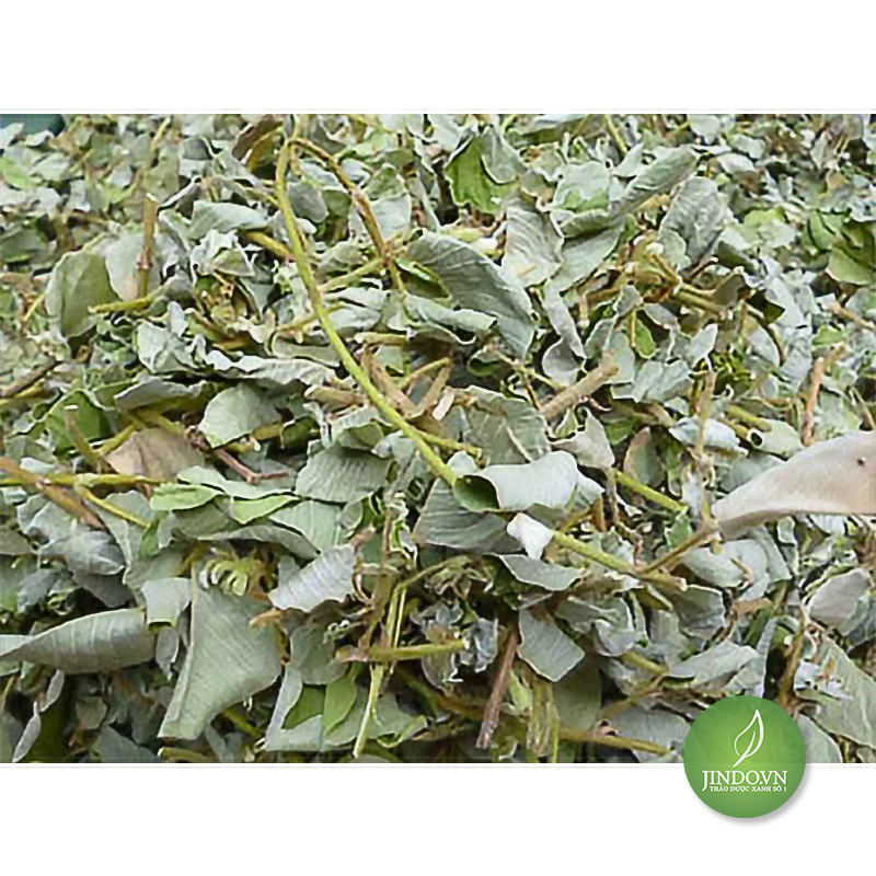 Kim tiền thảo (gói 1kg khô) - DTX006
