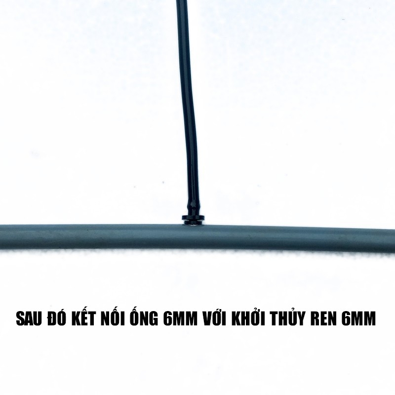 Bịch 50 ron cao su khởi thủy 6mm
