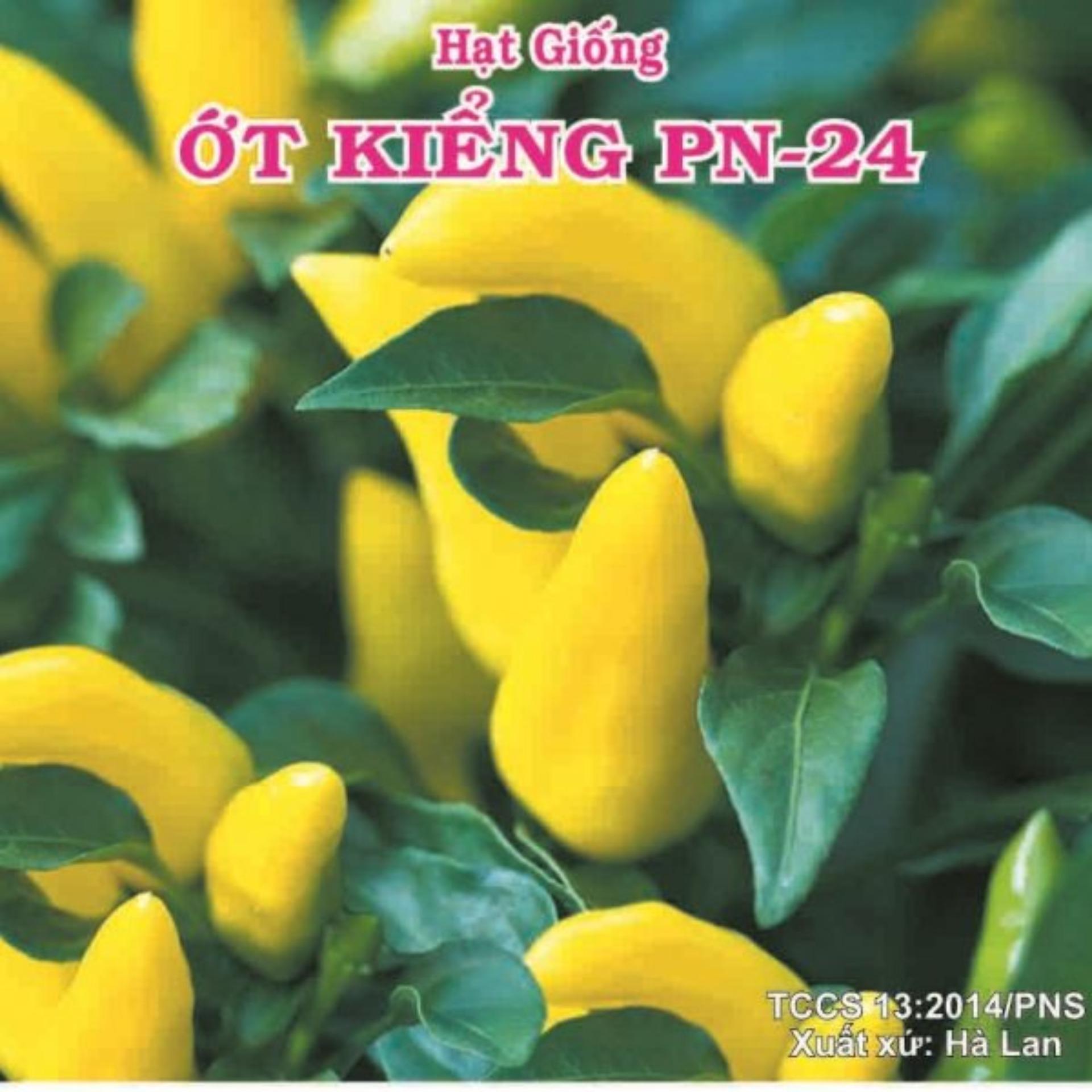 Hạt giống Ớt kiểng PN 24 - Gói 0.2g