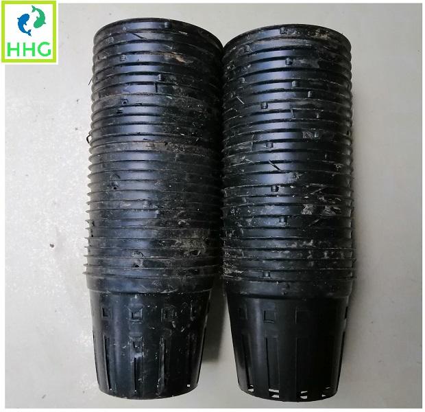 50 chậu nhựa fi 10cm trồng lan trồng rau ươm mầm