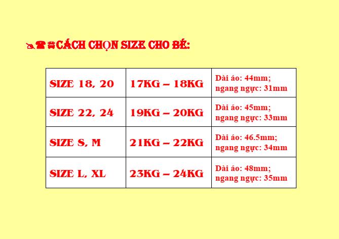 Áo thun cho bé gái từ 17kg - 24kg (sales sốc)