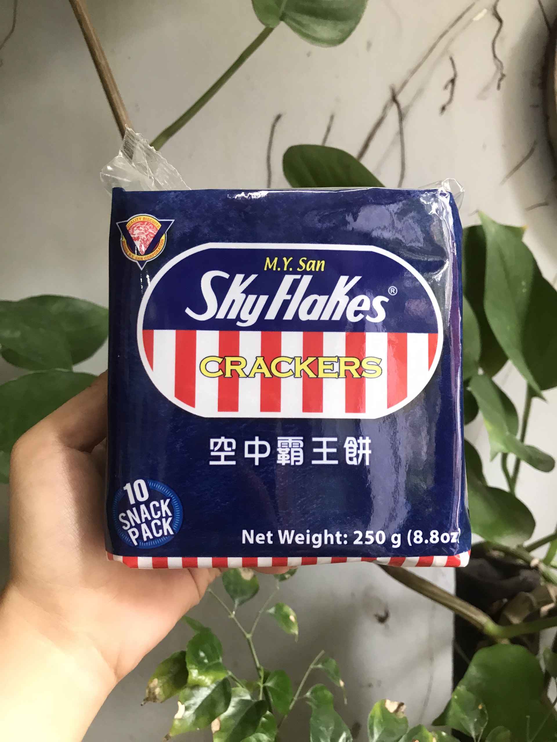 Bánh Quy Ăn Kiêng Sky Flakes Crackers