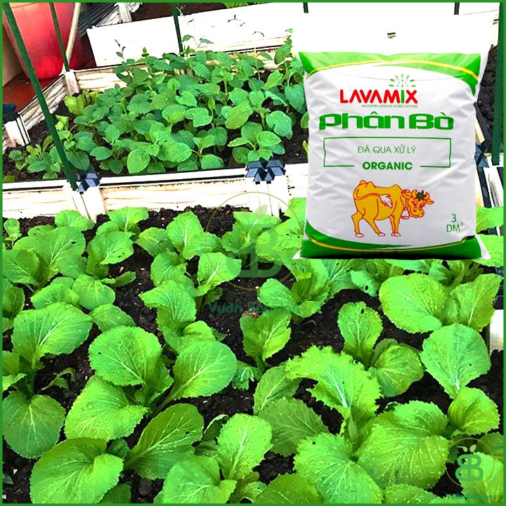 Phân Bò LAVAMIX Đã Qua Xử Lý 3DM3
