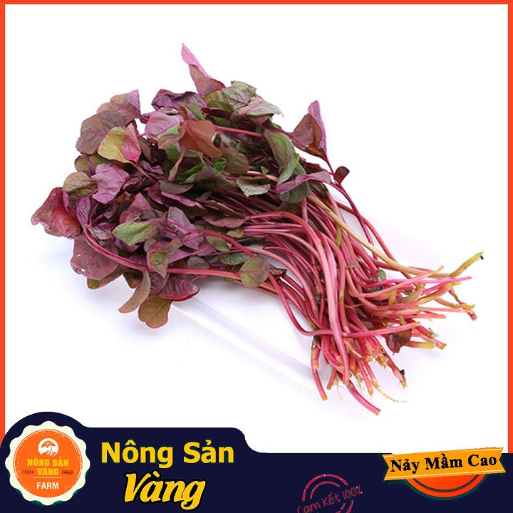 [HCM]Hạt giống Rau Dền Đỏ ( Gói 20 Gram ) - Nông Sản Vàng