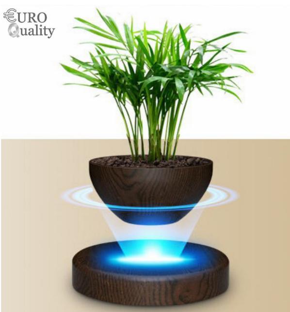Euro Quality - Cây bonsai bay lơ lửng vân gỗ Đen