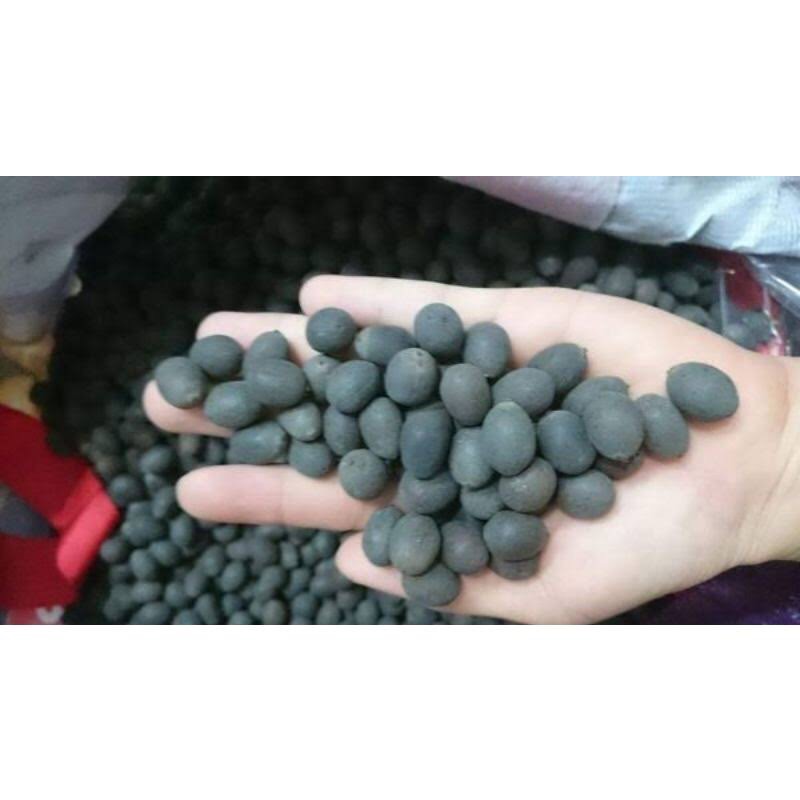 Hạt giống sen Bách Diệp (gói 20 hạt)