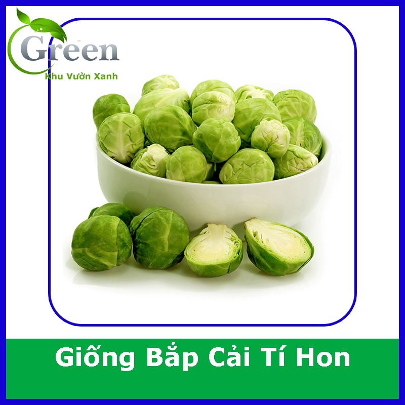 Hạt Giống Bắp Cải Tí Hon Xanh Italy (Gói 2 gam ~ 600 hạt) Năng Suất Cao, Dễ Trồng