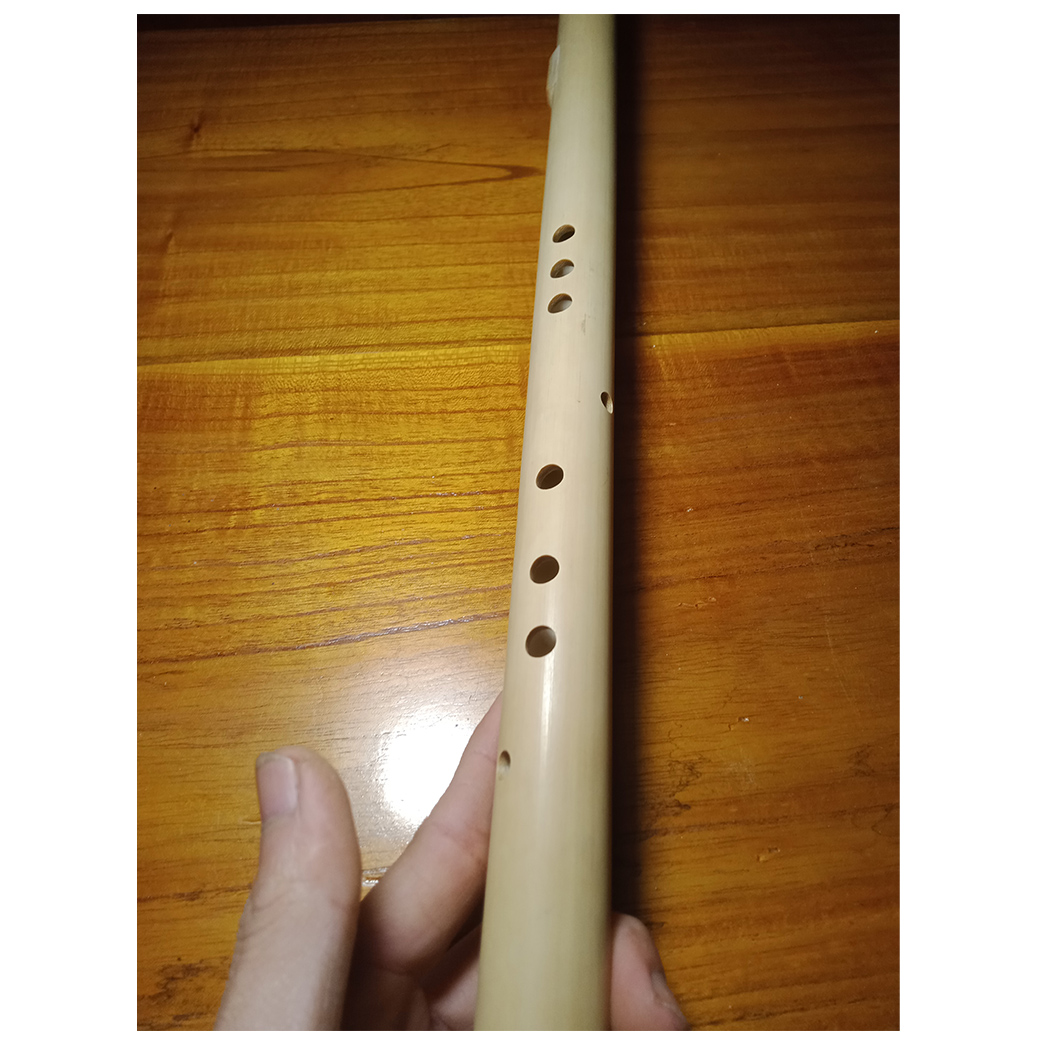 Sáo Mèo 9 lỗ cải tiến