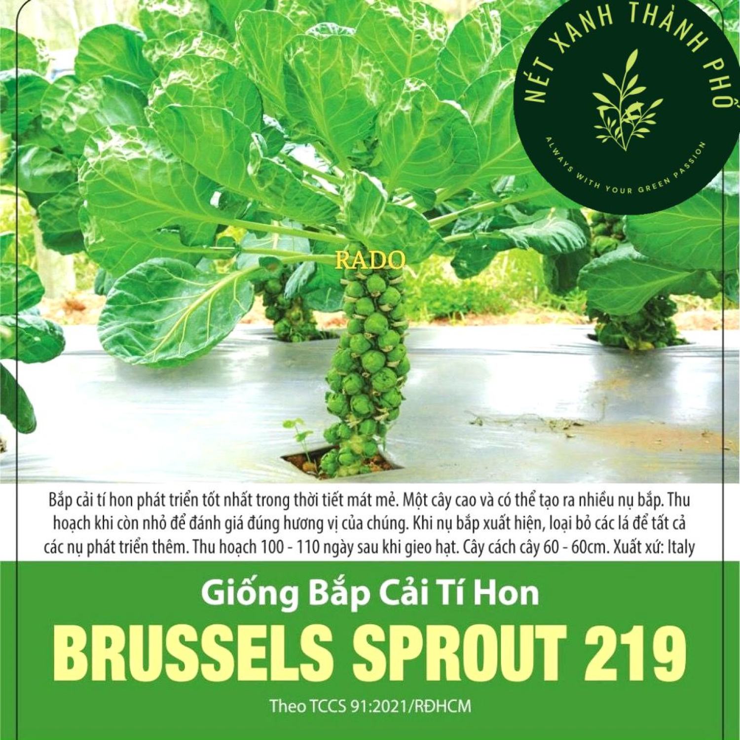 Hạt Giống Bắp Cải Baby (Bắp Cải Tí Hon) 2gram