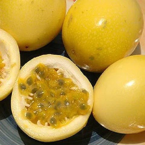 Cây chanh leo ngọt